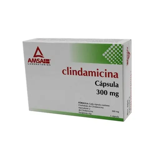 [335M2001] Clindamicina AMSA cápsulas 300mg C/16